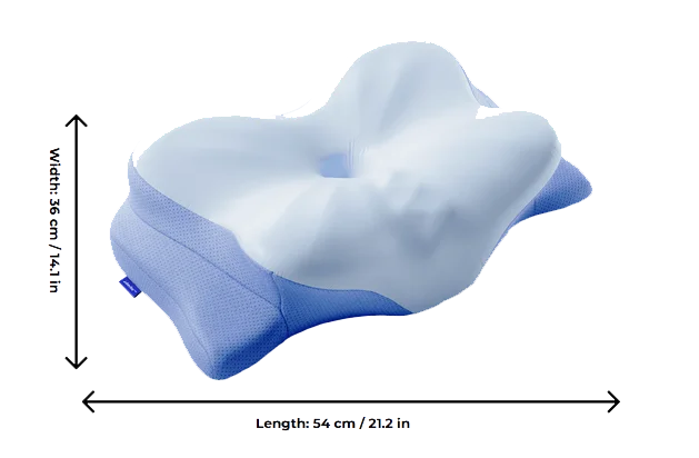 Sized For Perfect Support